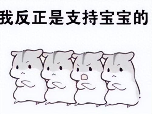 金山打字游戏(打字游戏)插图10