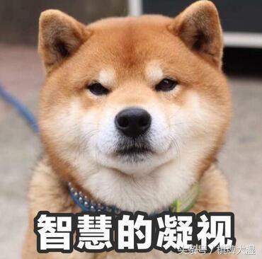 qq游戏记牌器(万能算牌器)插图 qq游戏记牌器(万能算牌器)插图