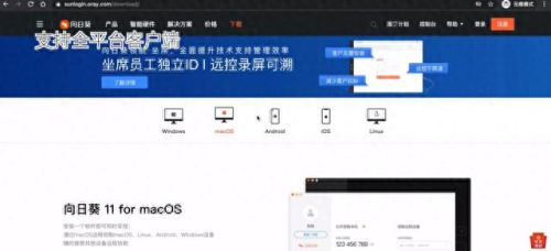 向日葵远程控制软件(向日葵远程玩dnf键盘怎么设置)插图17