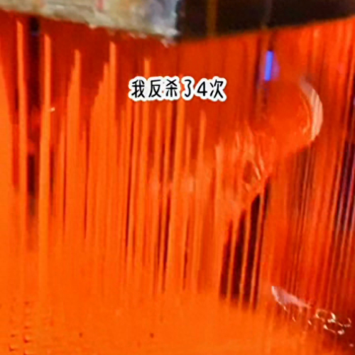勇者斗恶龙9 攻略(勇者斗恶龙9 图文攻略)插图