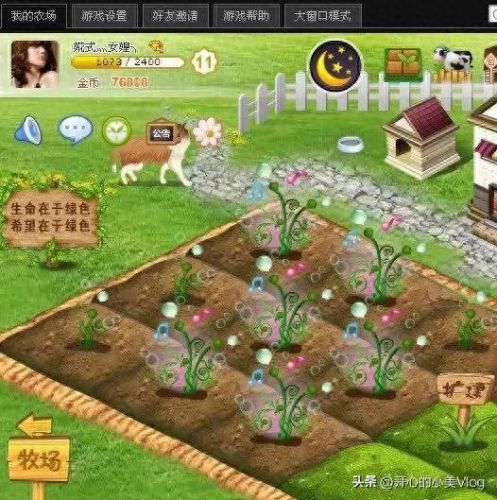 qq农场自动偷菜(农场半夜偷菜图片)插图2