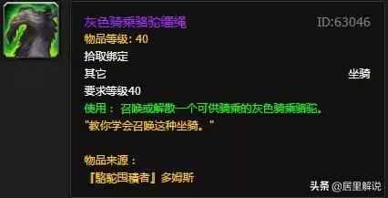 神秘骆驼刻像(神秘骆驼)插图4