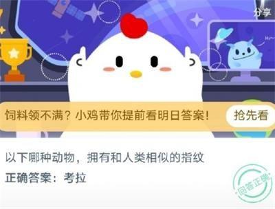 拥有和人类相似的指纹(和人类dna最相似的动物)