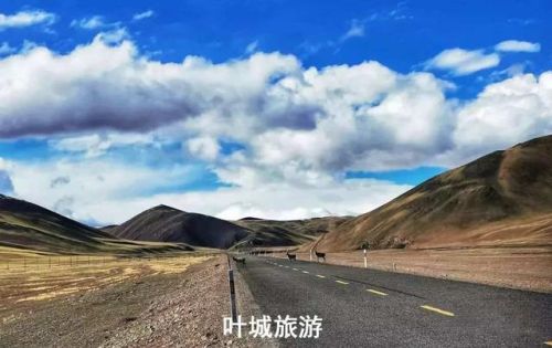 侠盗飞车6狂野之城(侠盗飞车狂野之城和罪恶都市的区别)插图4