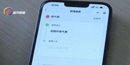 天然气收费软件(交燃气费下什么软件)插图3