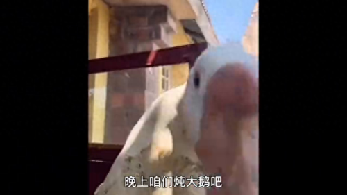 合集2(日本欧美免费好看的电影推荐2019)插图