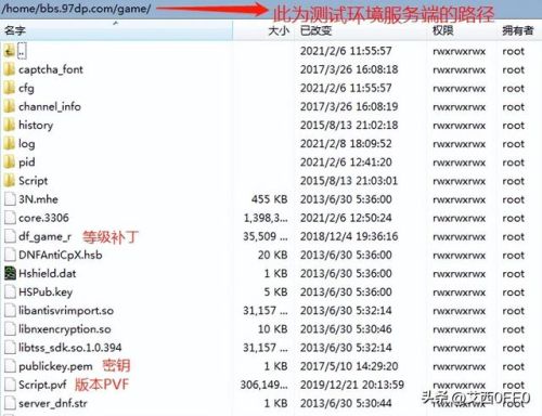dnf开服详细教程(地下城与勇士新区开服公告)插图1