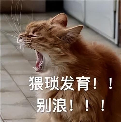 合成类游戏(找游戏app)插图2