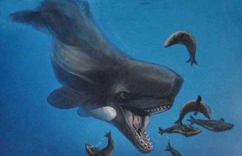 洛克王国深蓝鲸怎么超进化(洛克王国深海巨螯可以进化吗)插图5