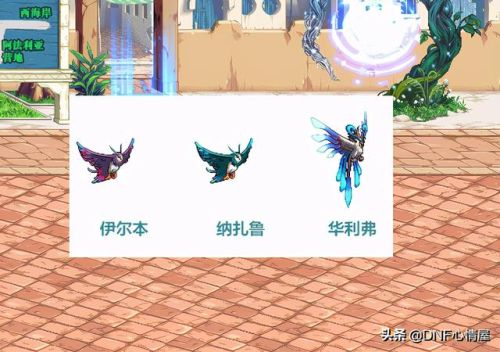 dnf撒共宠物进化任务(DNF撒共现在还能进化吗)插图6