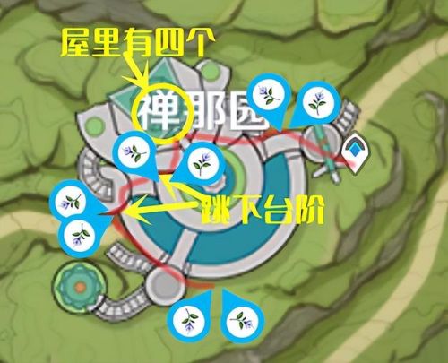 纳西妲突破材料(纳西妲培养材料一览图)插图17