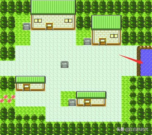 口袋妖怪金银精灵图鉴(口袋进化的精灵图鉴在哪)插图5