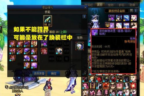 dnf宠物装备可以跨界吗(宠物装备怎么给其他角色)插图4
