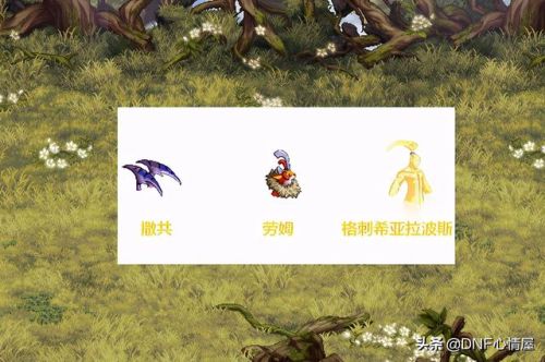 dnf撒共宠物进化任务(DNF撒共现在还能进化吗)插图4