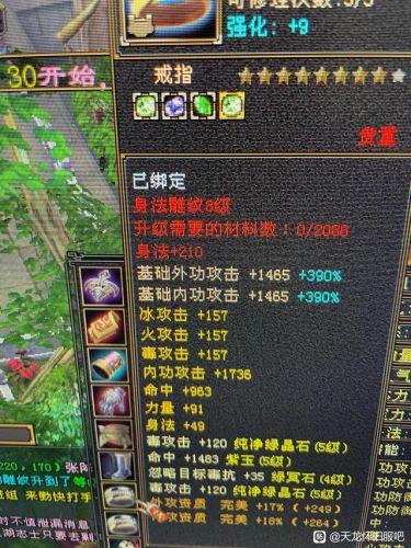 天龙八部逍遥加点经典(新天龙八部逍遥攻略)插图3