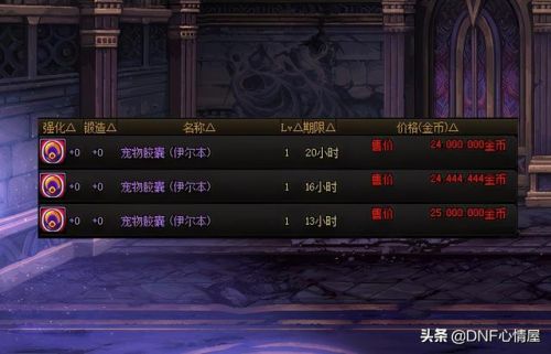 dnf撒共宠物进化任务(DNF撒共现在还能进化吗)