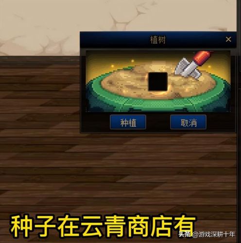 dnf心意点怎么买(dnf结婚50w和200w区别)插图20