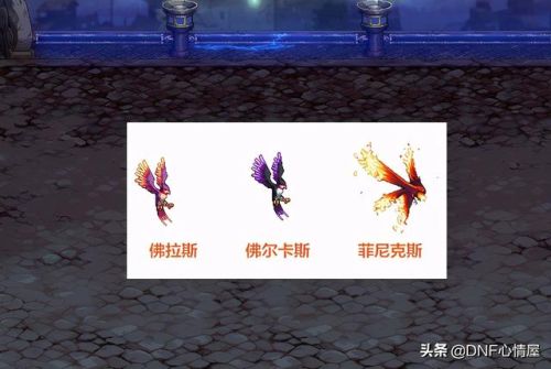 dnf撒共宠物进化任务(DNF撒共现在还能进化吗)插图