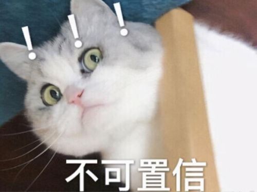 洛克王国宠物融合在哪(洛克王国三个原始宠合体)插图8
