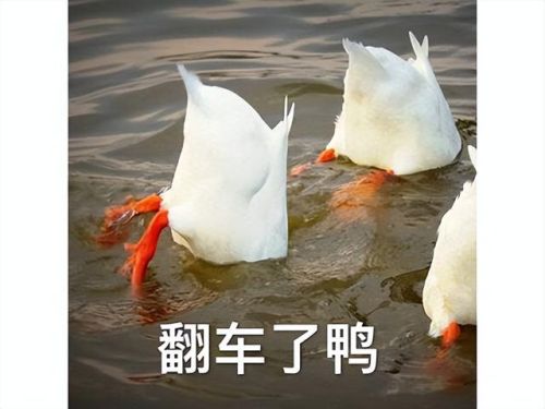 比特大爆炸武器排行(比特小队 最厉害的武器怎么获得)插图38