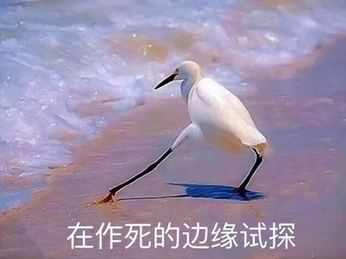比特大爆炸武器排行(比特小队 最厉害的武器怎么获得)插图35