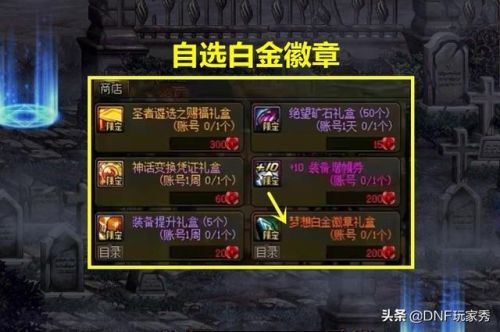 dnf女弹药白金徽章选什么(女弹药左右槽白金徽章)插图