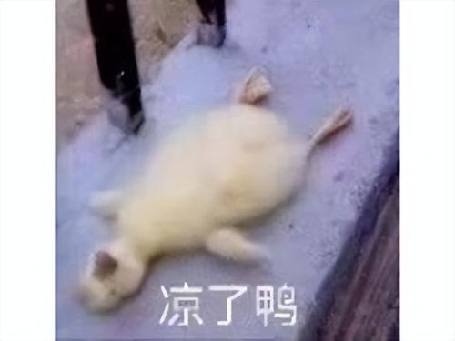比特大爆炸武器排行(比特小队 最厉害的武器怎么获得)插图6
