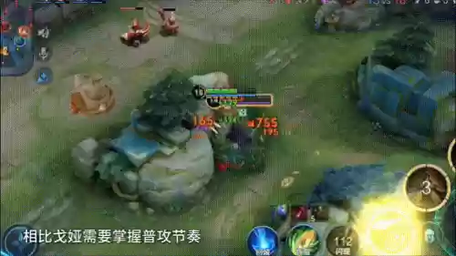无敌免伤阵容搭配推荐(蜀盾最强阵容搭配)