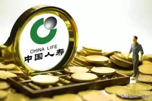 四喜丸子阵容搭配(肉丸子跟什么菜搭配)插图7