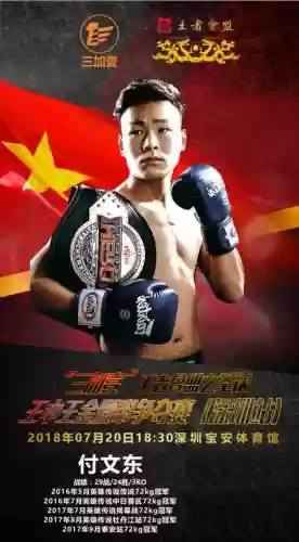 拳皇亚洲冠军阵容搭配推荐(拳皇98ol平民最佳15阵容)插图4