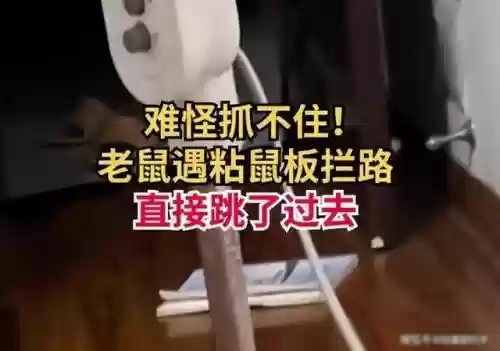动物之战核弹阵容搭配推荐(动物战争模拟器mod菜单大全)插图3