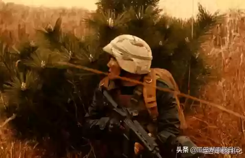 逃跑吧少年枪神阵容搭配(逃跑吧少年蹦蹦枪最强出装)插图20