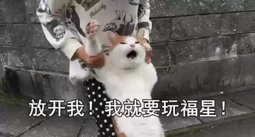六福星阵容怎么玩阵容(跨越星弧最佳搭配阵容)插图6