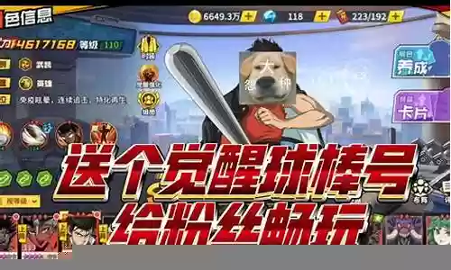 觉醒球棒阵容搭配