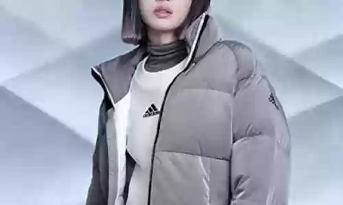 女明星螃蟹阵容搭配