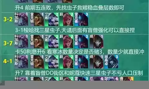 科加斯阵容搭配插图
