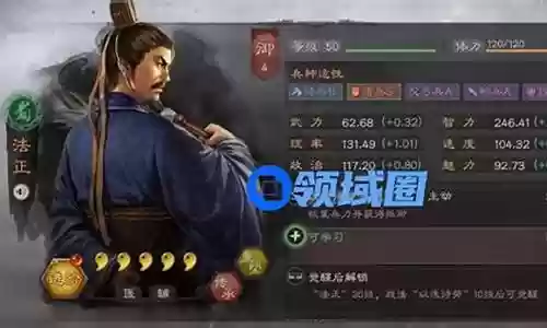 法正怎么搭配阵容插图
