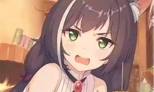 泳装臭鼬阵容搭配