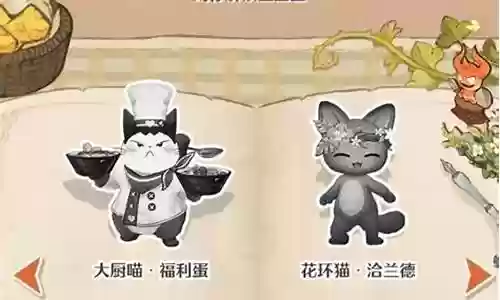 猫猫搭配什么阵容最好