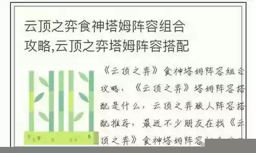 食神搭配什么阵容