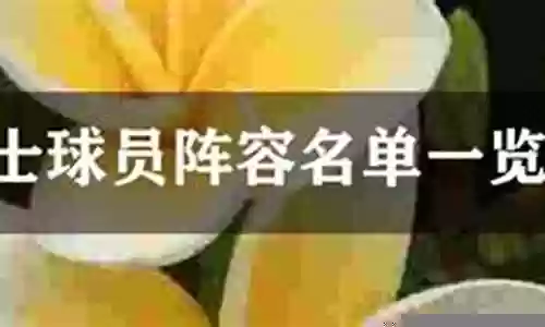 勇士球员星座阵容搭配