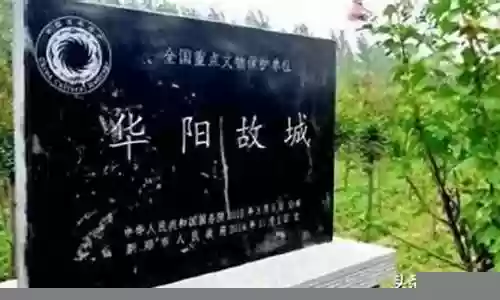 秦朝打仗阵容搭配图插图