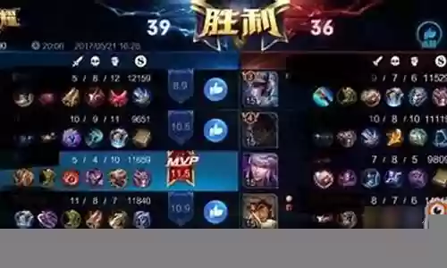 五黑起飞阵容搭配插图