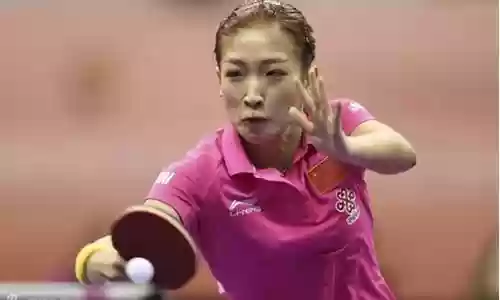 刘诗雯阵容搭配