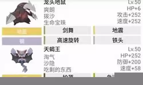 沙暴队阵容配置搭配