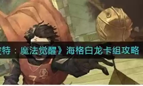 海格白龙怎么搭配阵容