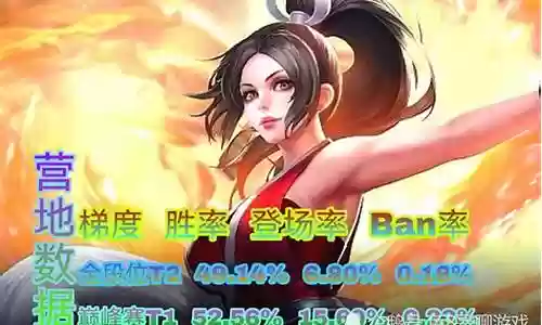 阵容搭配教学s25