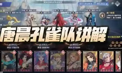 孔雀翎怎么搭配阵容最好