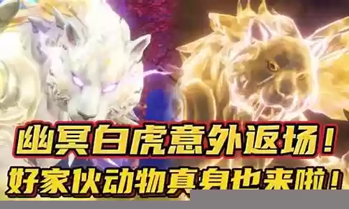幽冥白虎pk阵容搭配最新