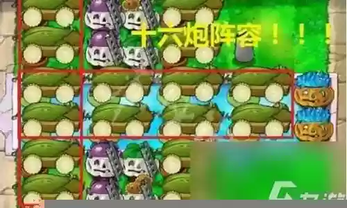 火星植物搭配推荐阵容最新